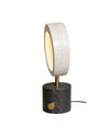 Contemporary Loop LED Light